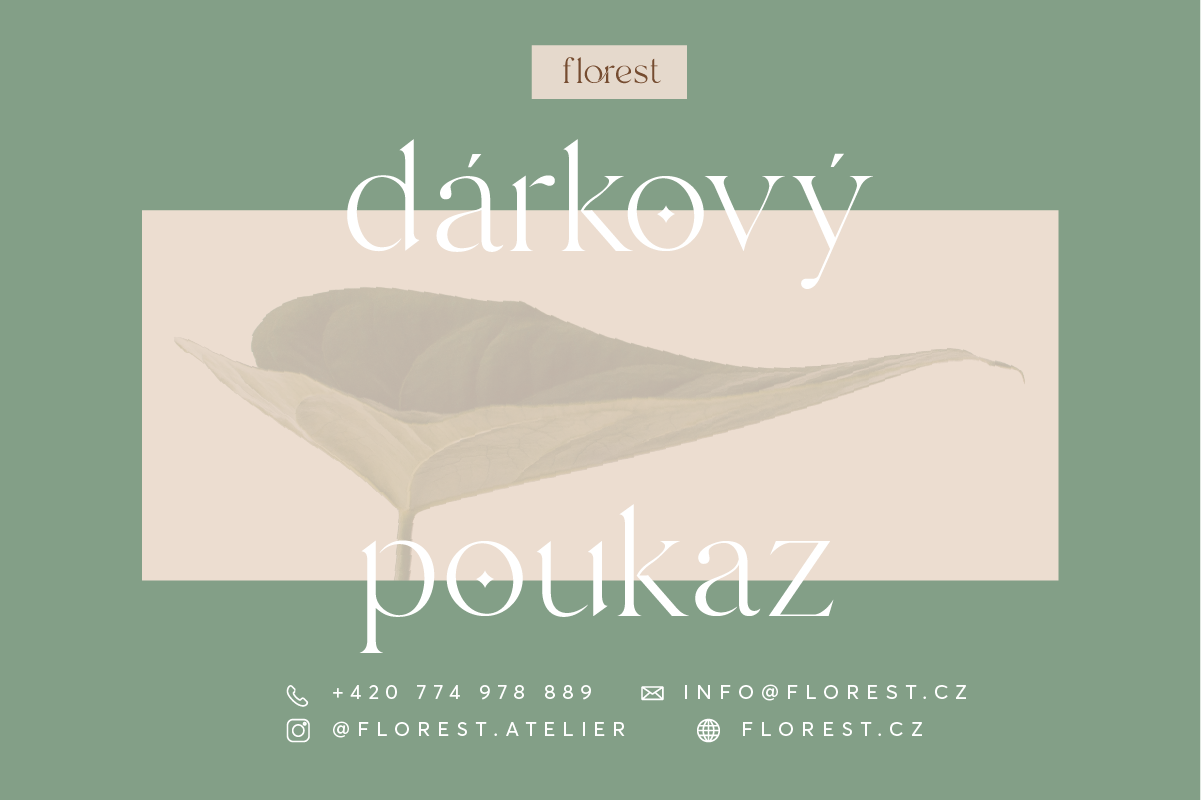 Dárkový poukaz elektronický